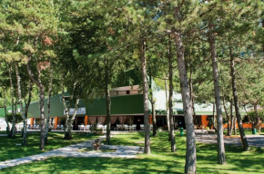 Venzone